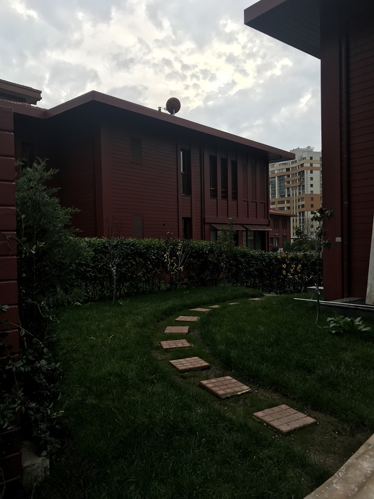 img 1387